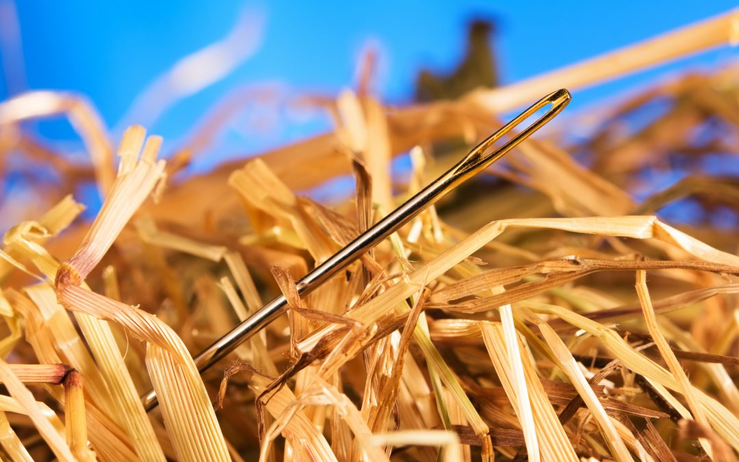 B2B Marketing: When You’re the Needle In The Haystack