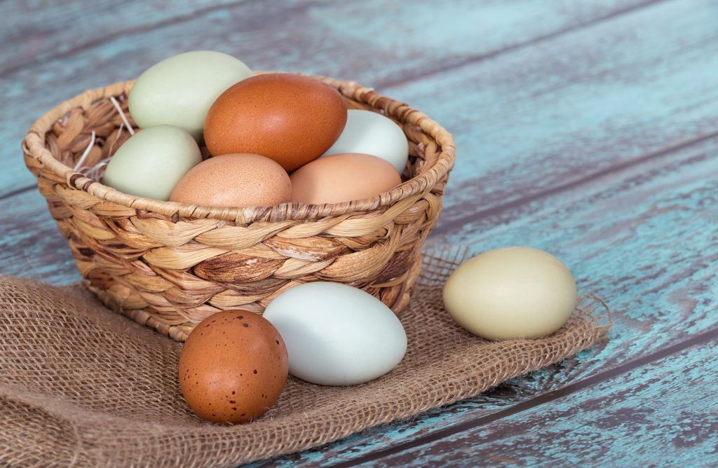 Don't Put All Your Marketing Eggs In One Basket J Carcamo Assoc
