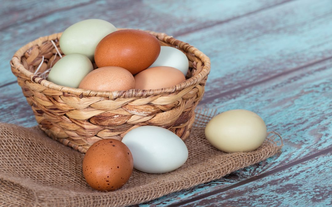Don’t Put All Your Marketing Eggs In One Basket