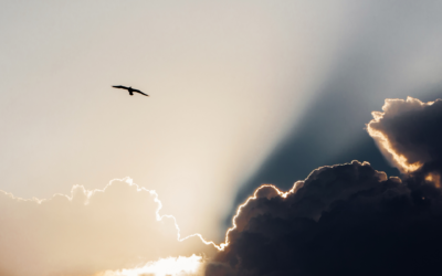 Inspiration From Casino Marketing Leaders