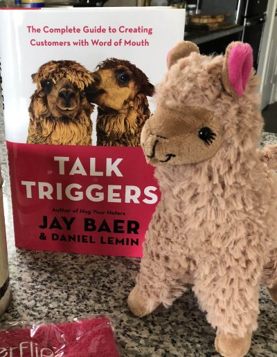 Talk Triggers J Carcamo Associates Book of the Month