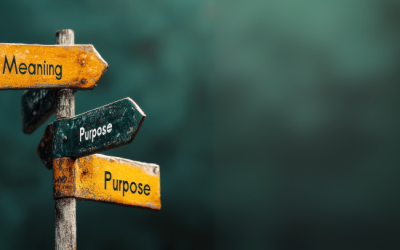 Beyond Promotions: Why Purpose Is the Real Casino Marketing Advantage